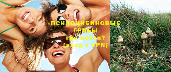 амф Осташков