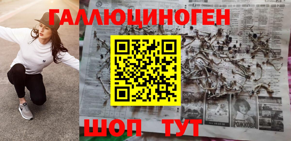 Галлюциногенные грибы Psilocybe Балахна