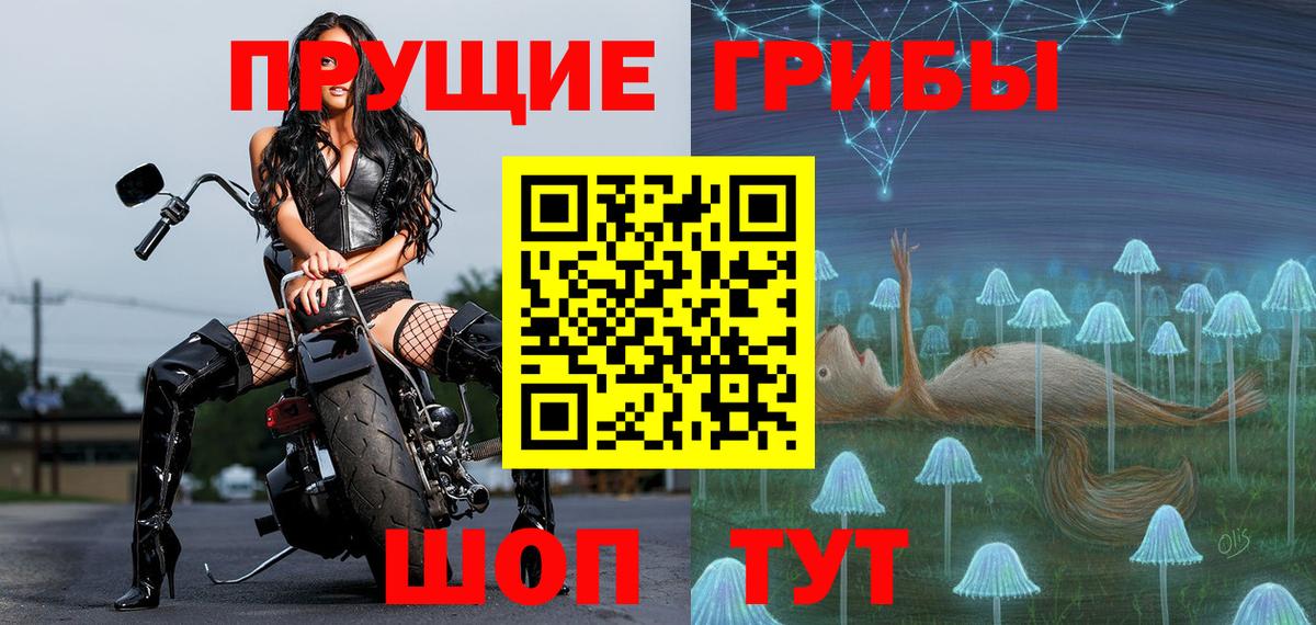 Псилоцибиновые грибы MAGIC MUSHROOMS  Вход с VPN  Балахна 