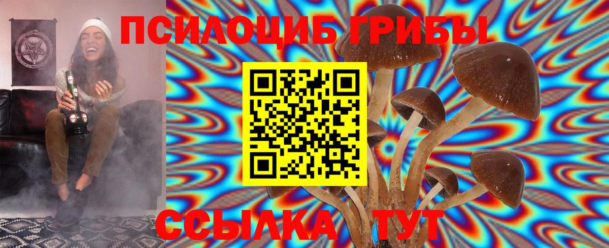 Псилоцибиновые грибы MAGIC MUSHROOMS Балахна